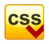 CSS courses logo